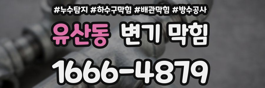 유산동 변기 막힘