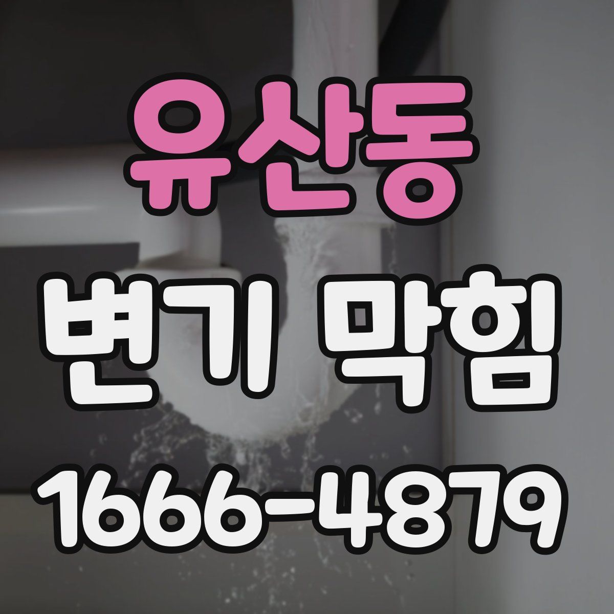 유산동 변기 막힘