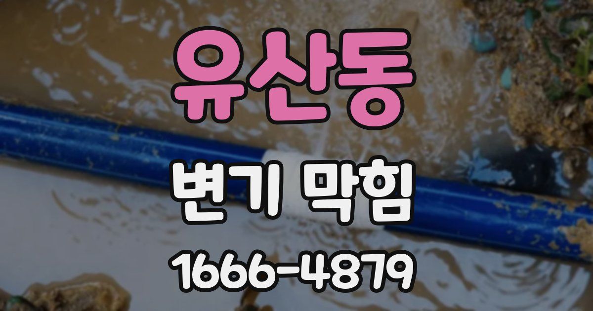 유산동 변기 막힘