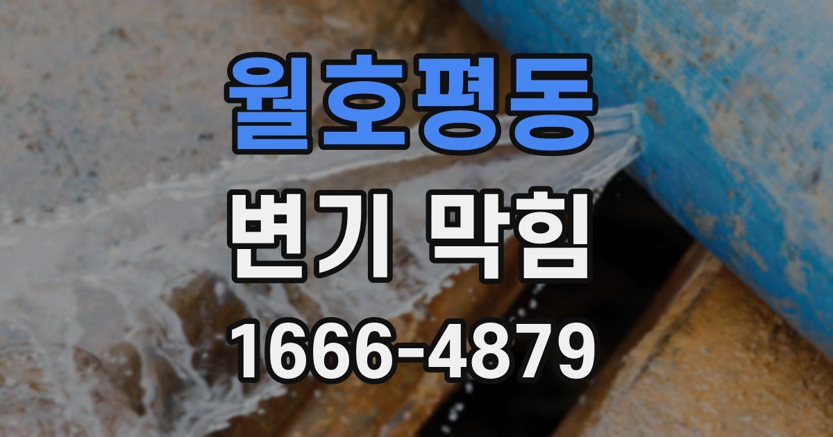 월호평동 변기 막힘