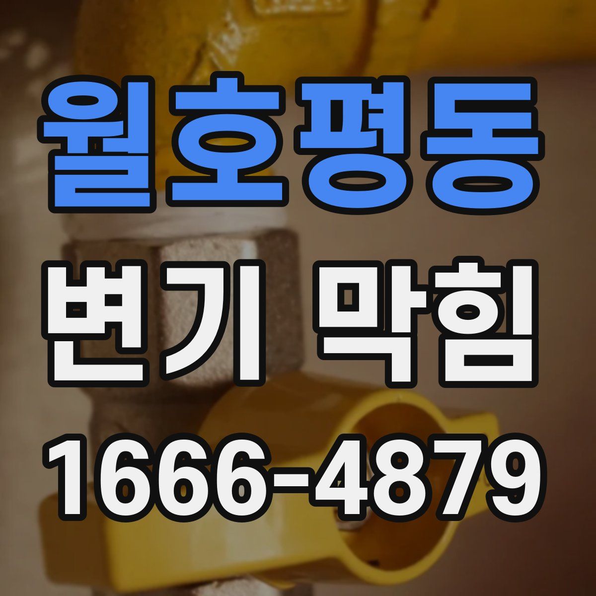 월호평동 변기 막힘