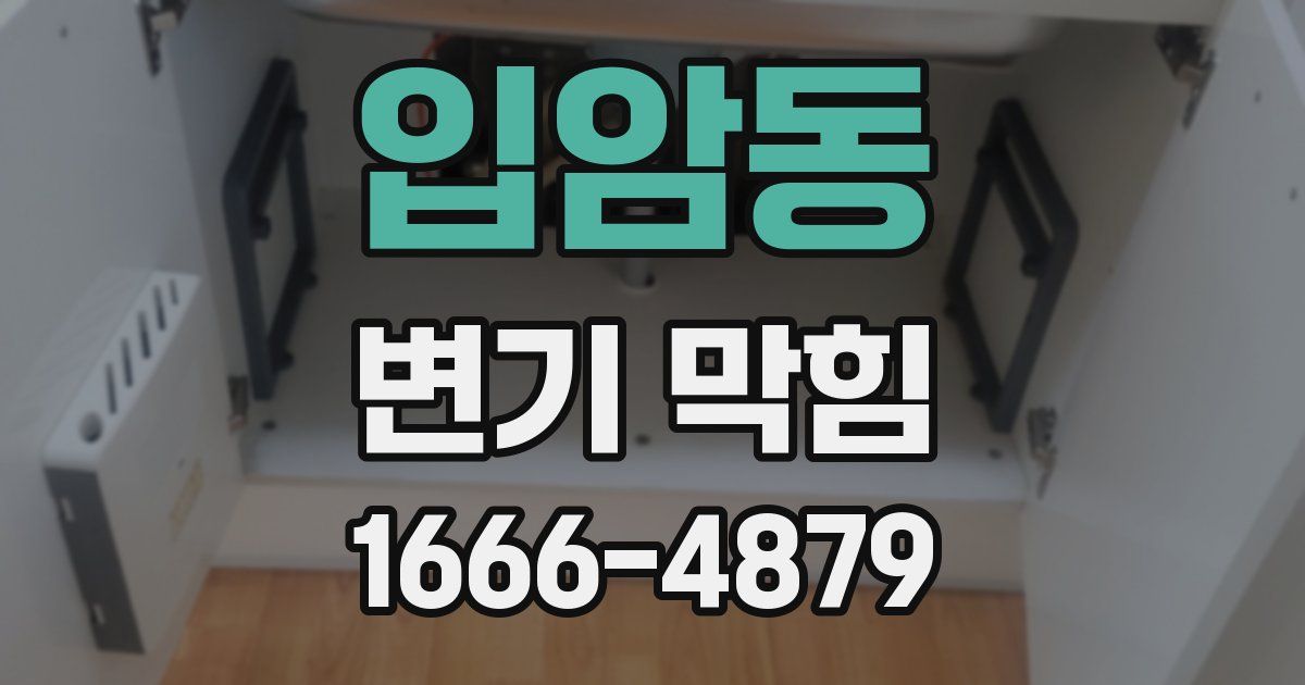입암동 변기 막힘