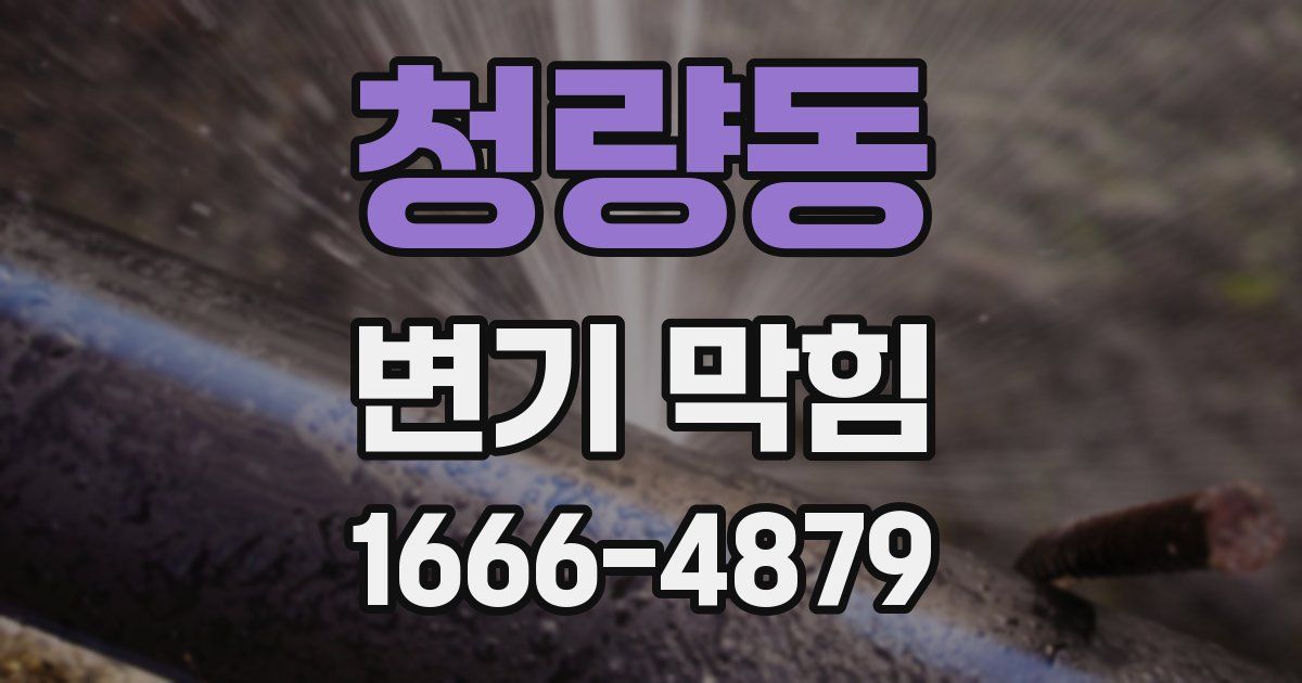 청량동 변기 막힘