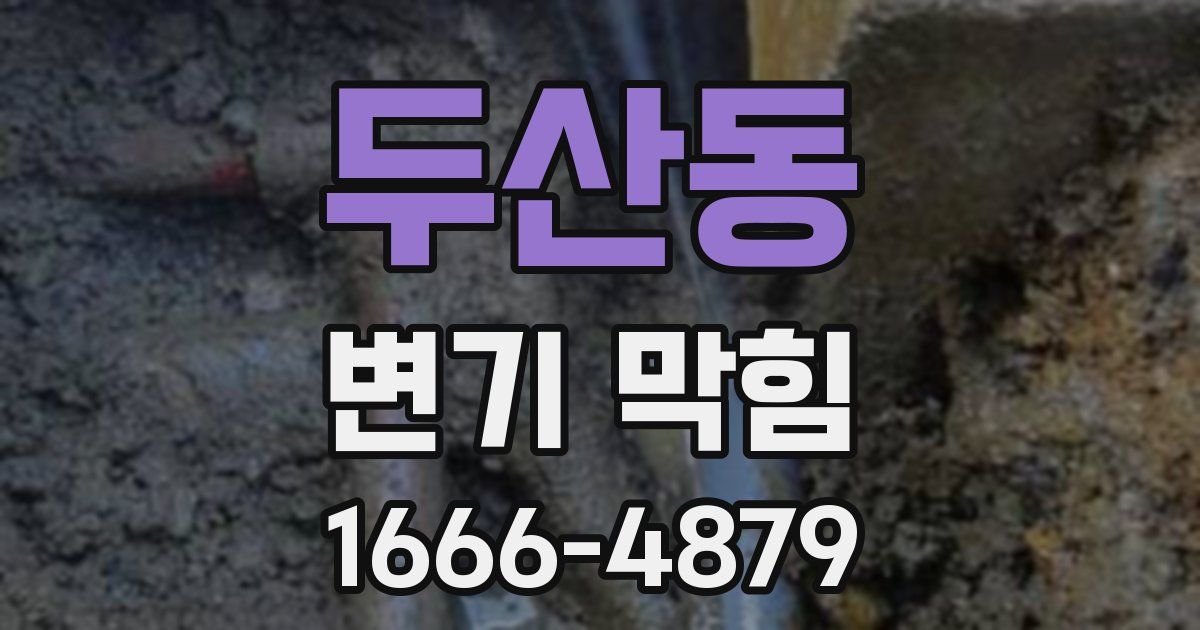 두산동 변기 막힘