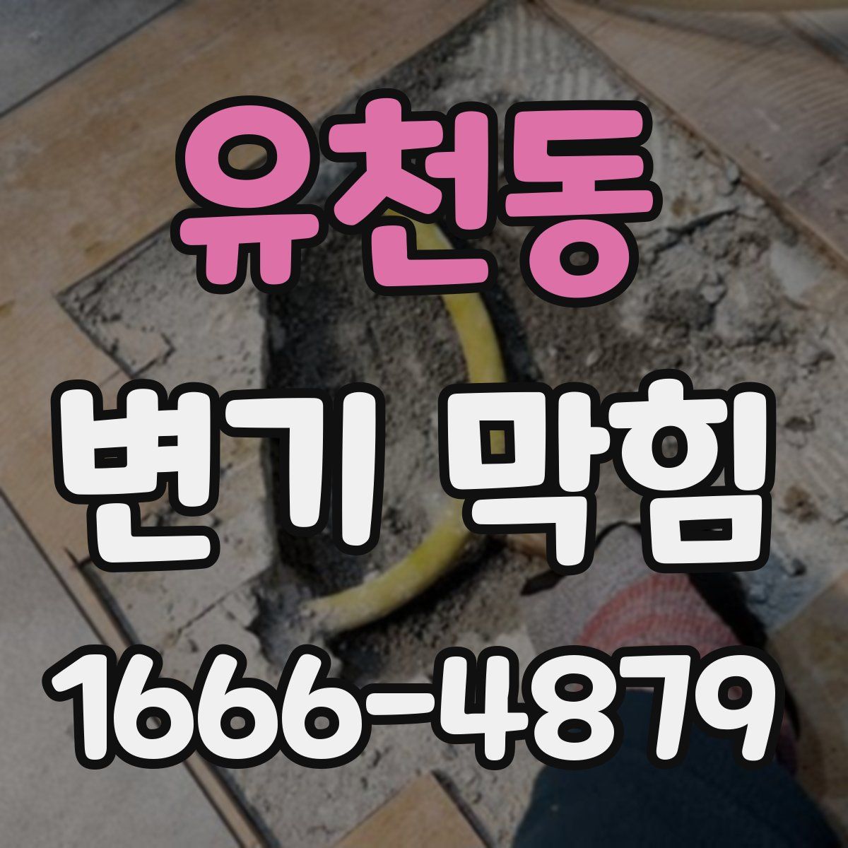 유천동 변기 막힘