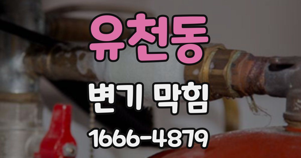 유천동 변기 막힘