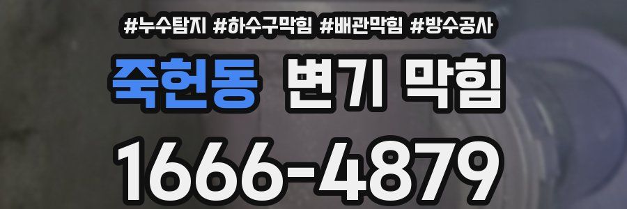 죽헌동 변기 막힘