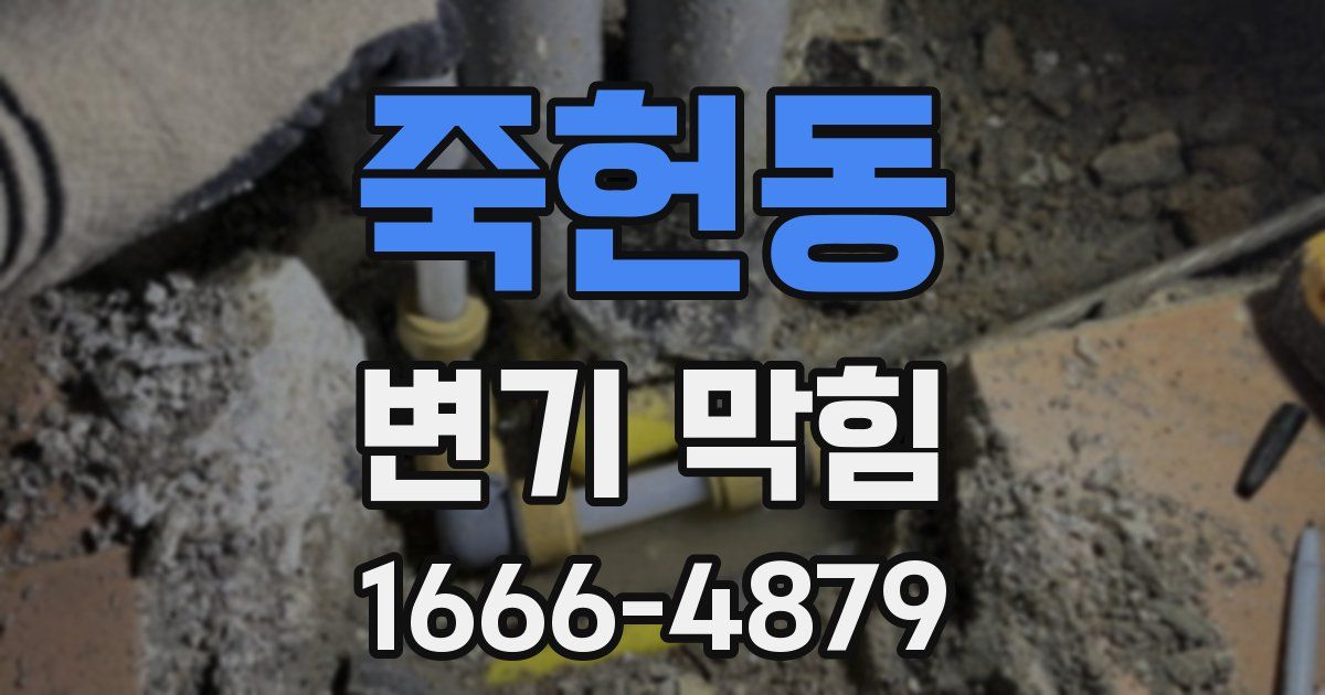 죽헌동 변기 막힘