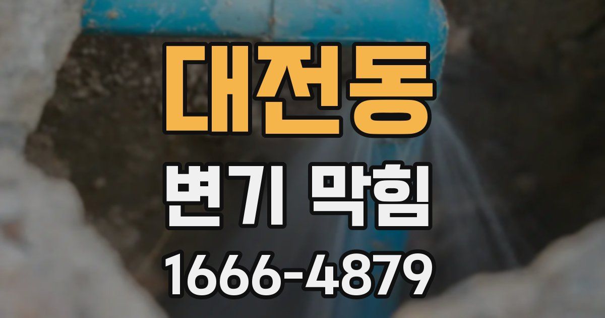 대전동 변기 막힘