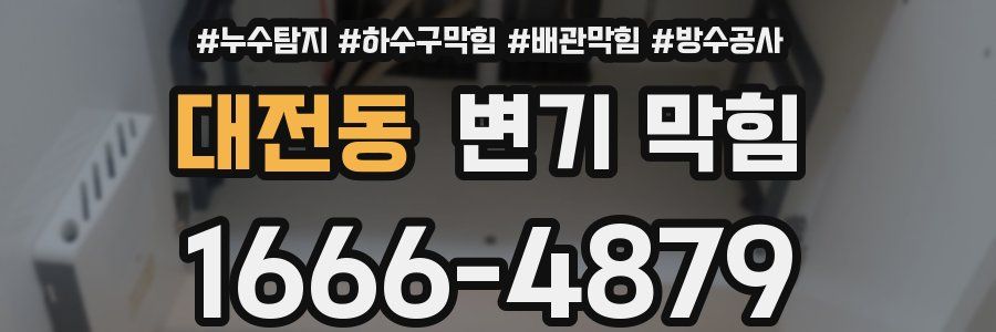 대전동 변기 막힘