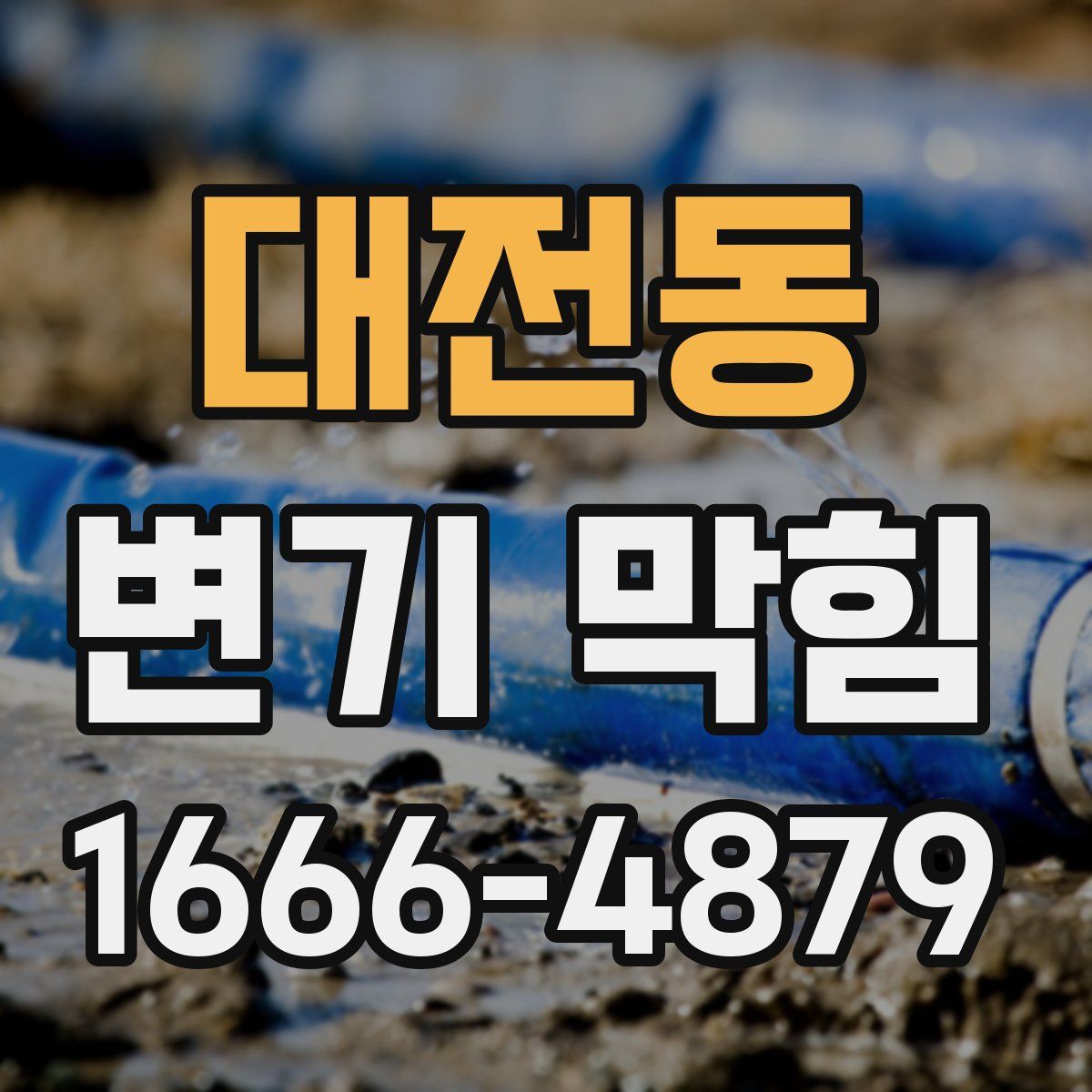 대전동 변기 막힘