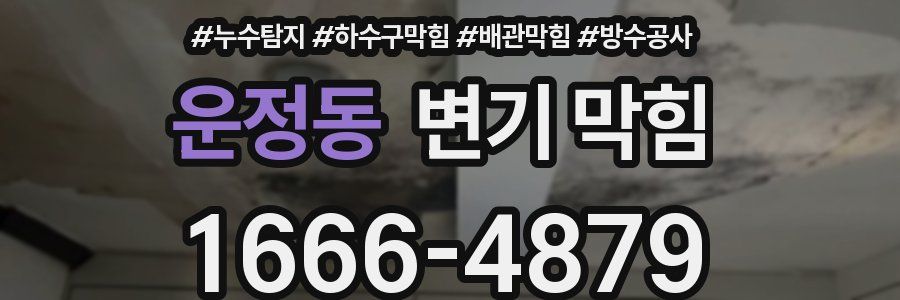 운정동 변기 막힘