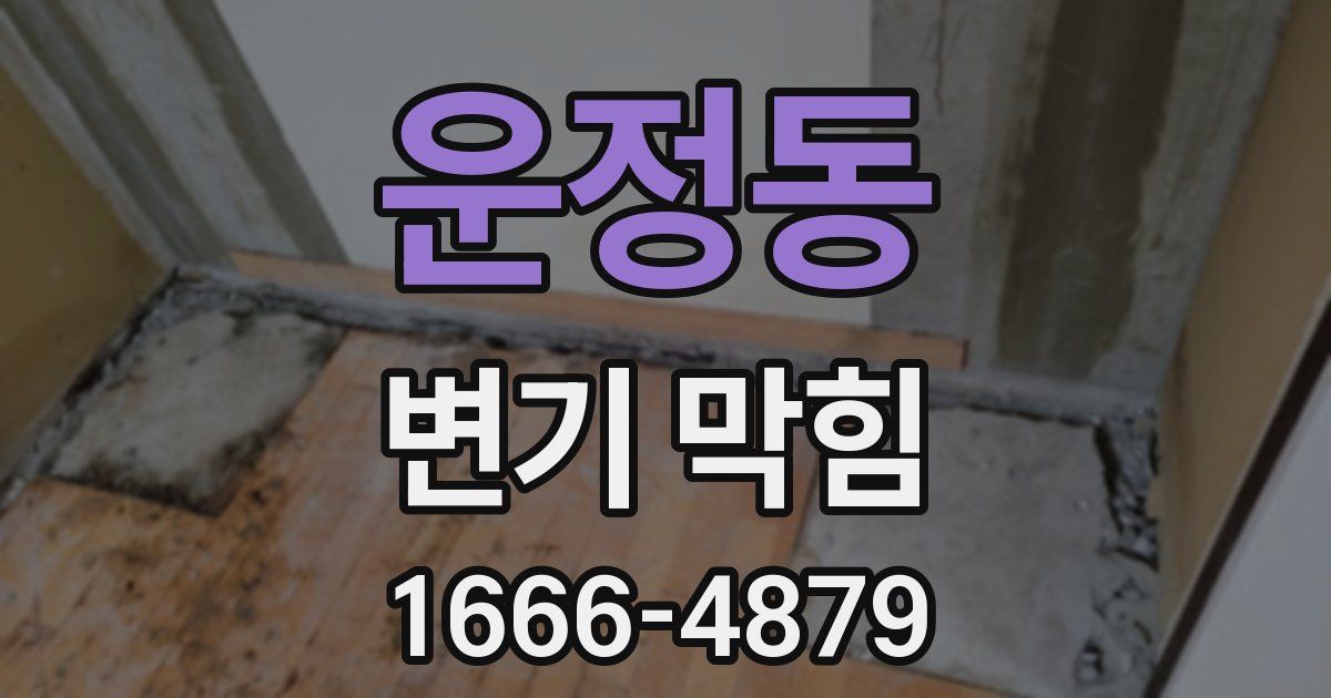 운정동 변기 막힘