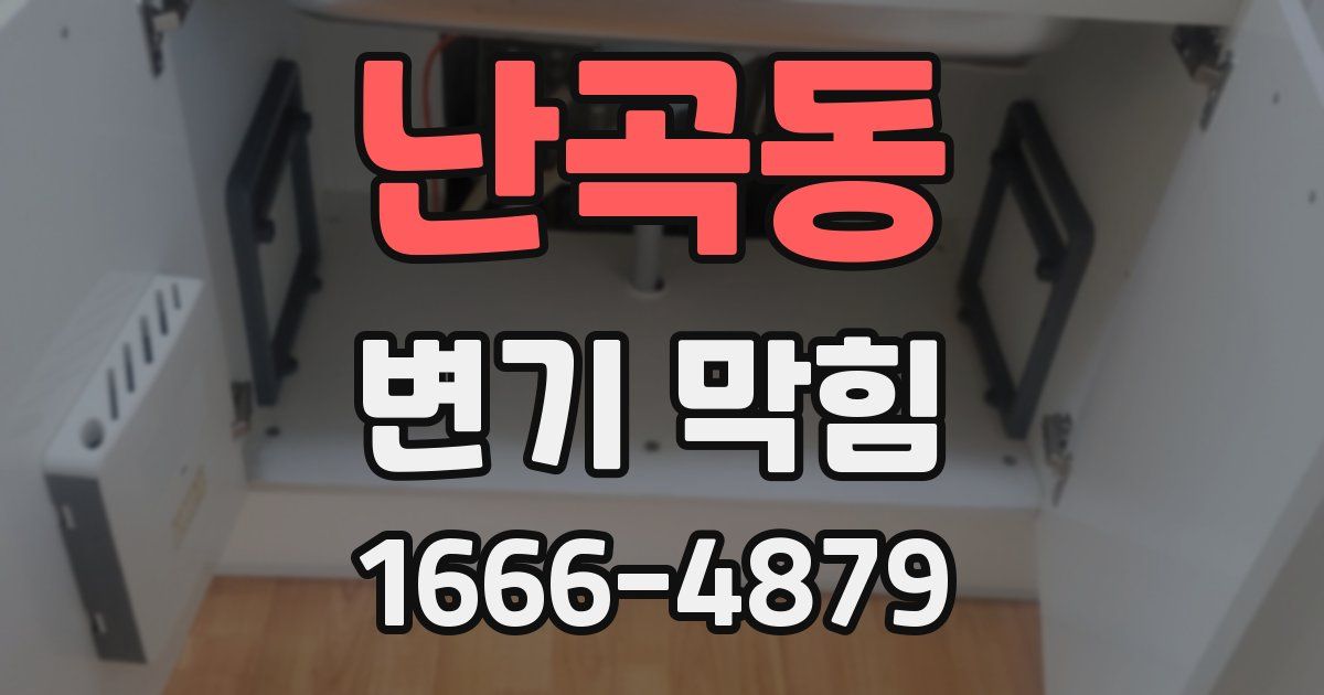 난곡동 변기 막힘