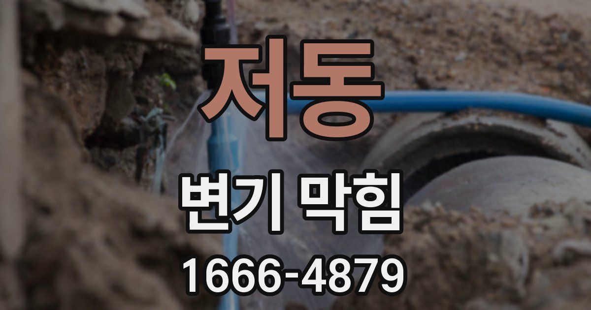 저동 변기 막힘