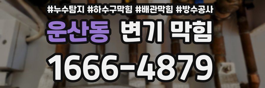 운산동 변기 막힘