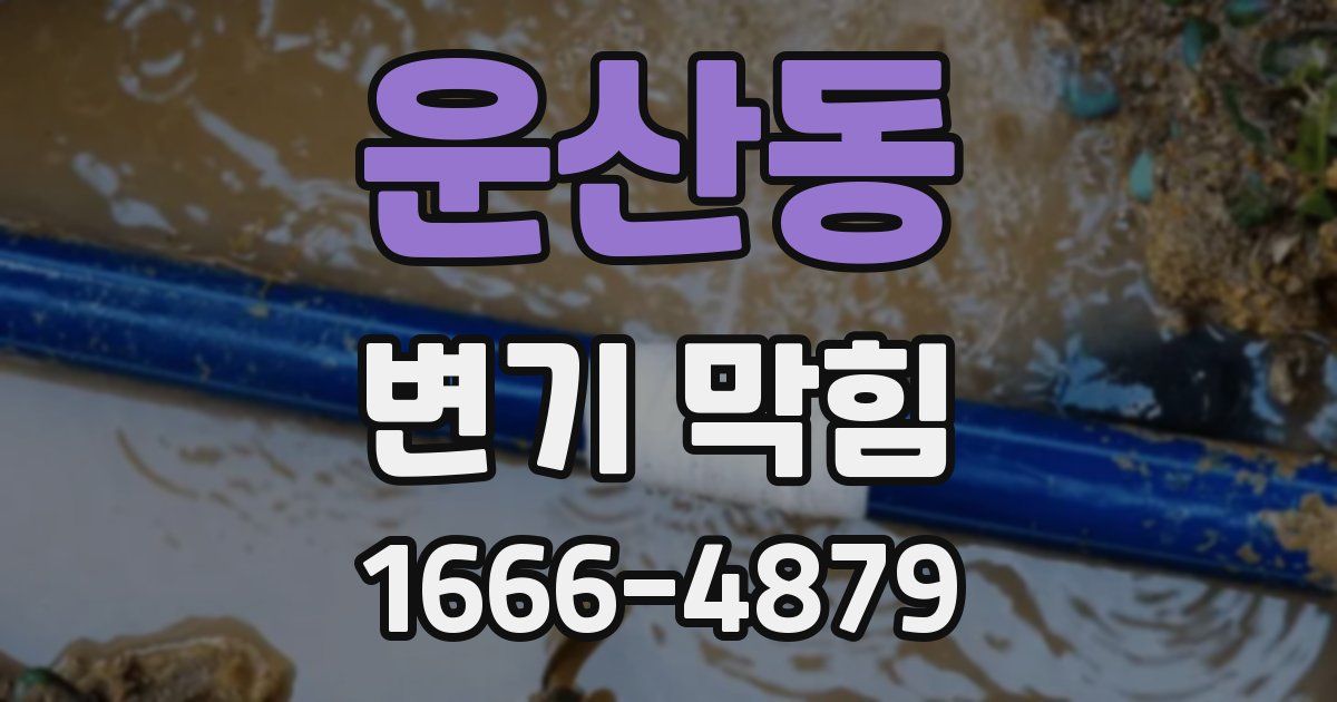 운산동 변기 막힘