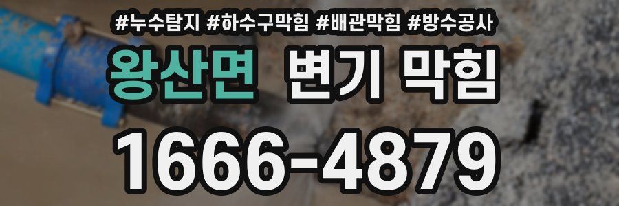 왕산면 변기 막힘