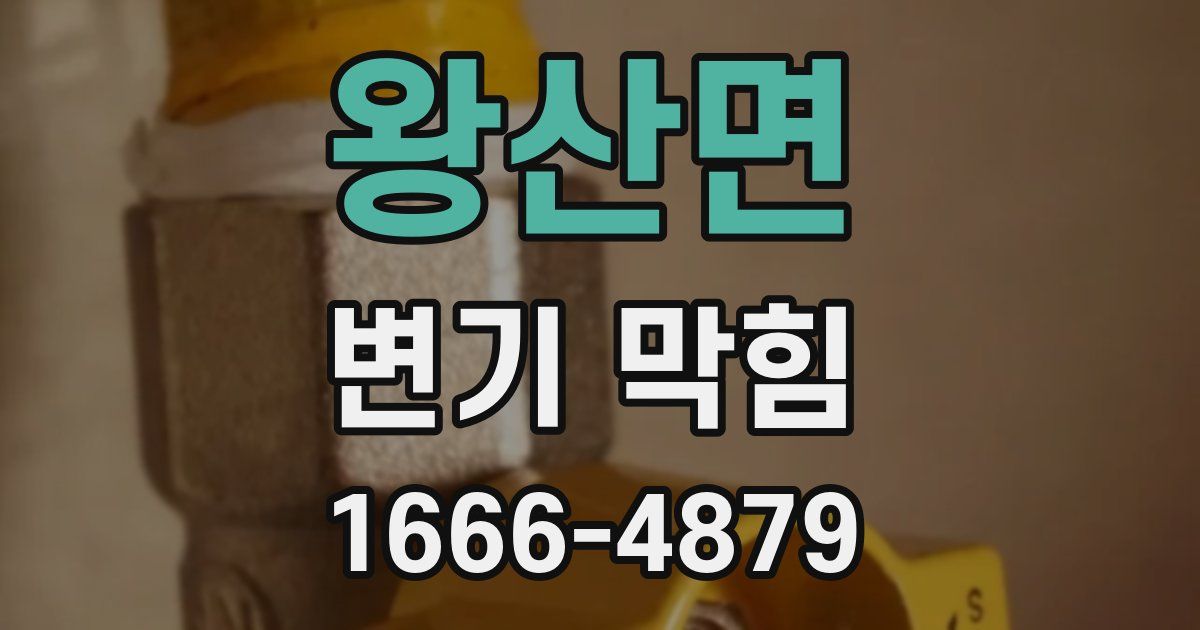 왕산면 변기 막힘