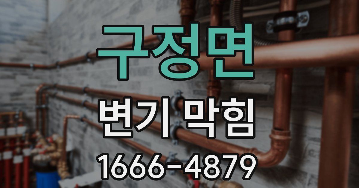 구정면 변기 막힘