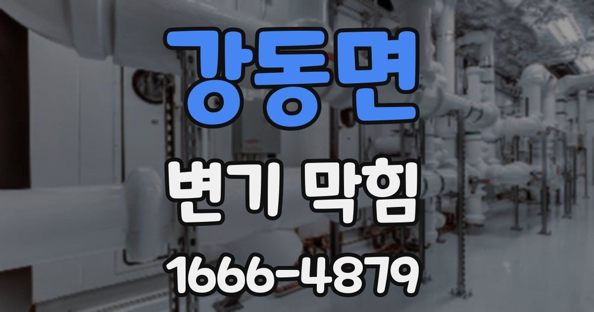 강동면 변기 막힘