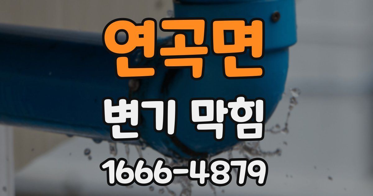 연곡면 변기 막힘