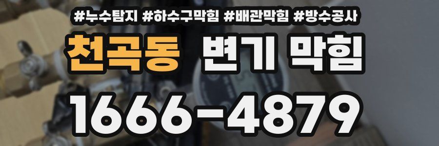 천곡동 변기 막힘
