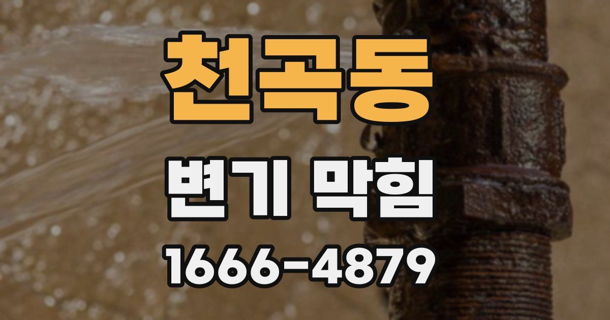 천곡동 변기 막힘