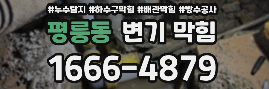 평릉동 변기 막힘