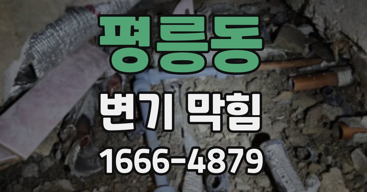 평릉동 변기 막힘