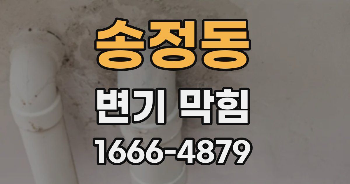송정동 변기 막힘