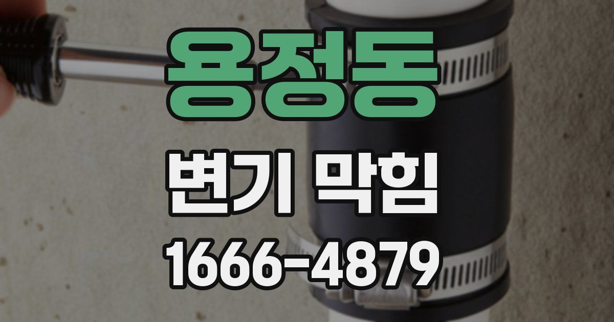 용정동 변기 막힘
