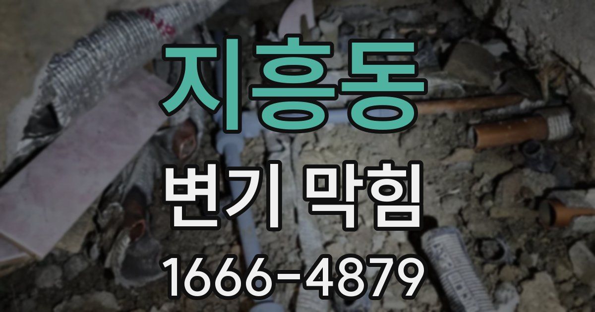지흥동 변기 막힘