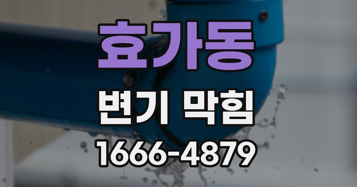 효가동 변기 막힘