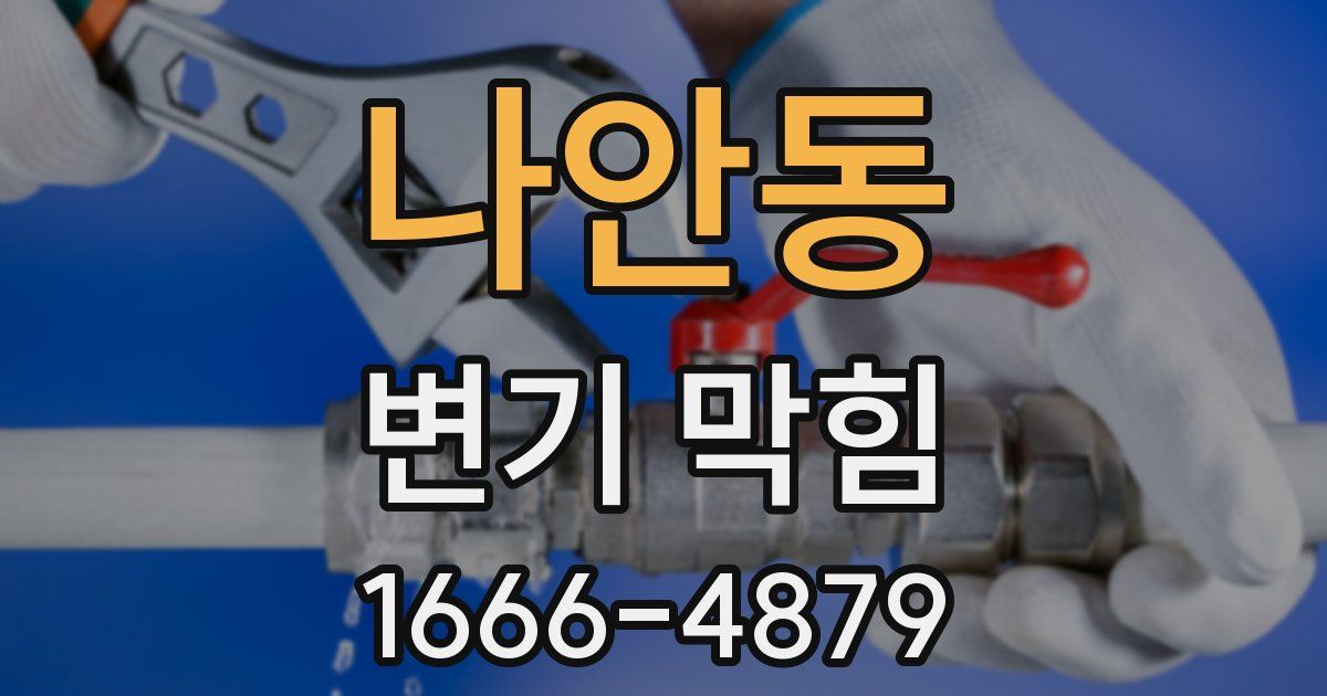 나안동 변기 막힘