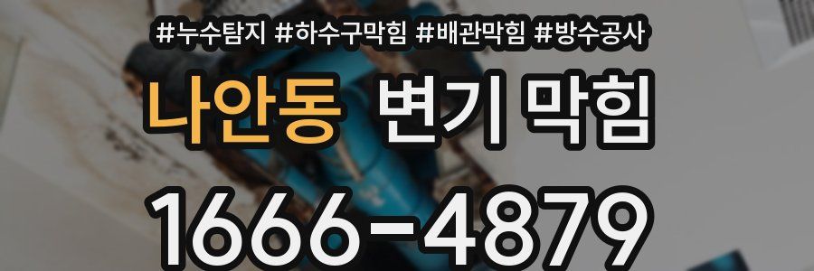 나안동 변기 막힘