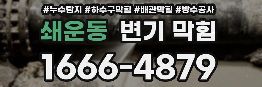쇄운동 변기 막힘