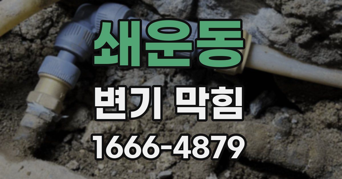 쇄운동 변기 막힘