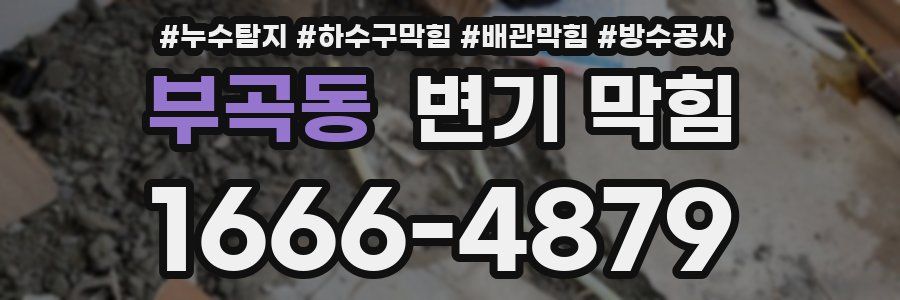 부곡동 변기 막힘