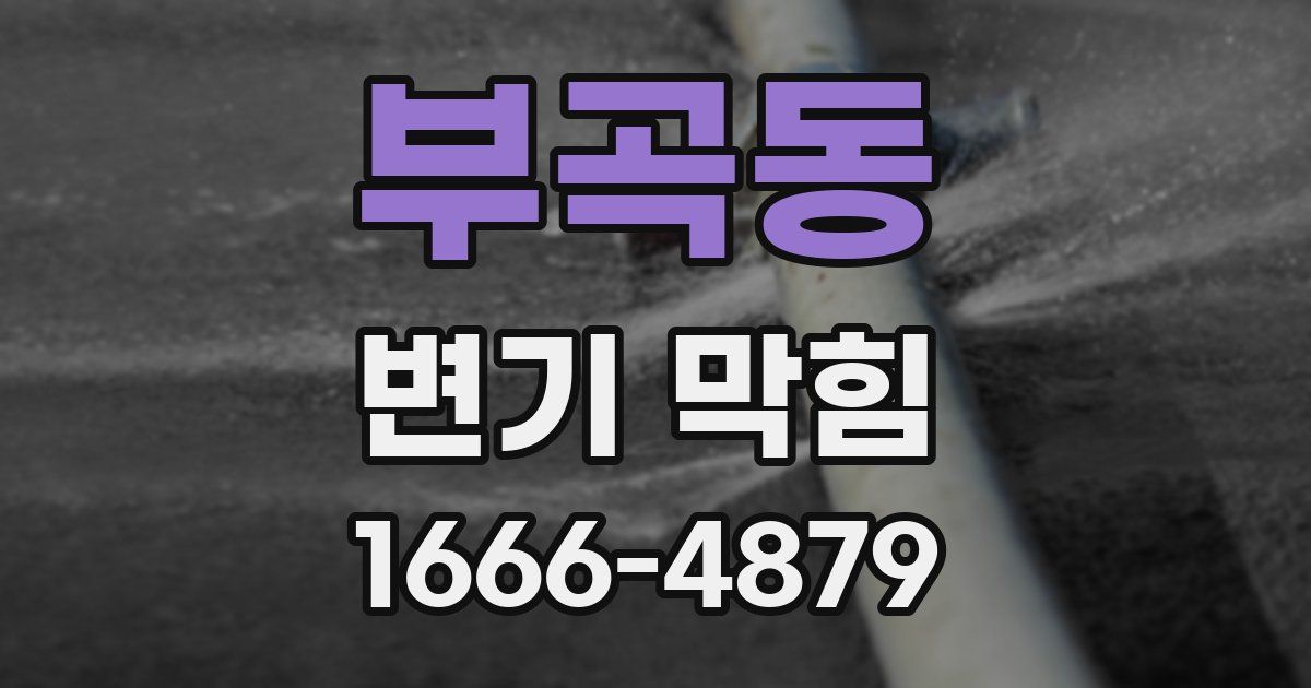 부곡동 변기 막힘