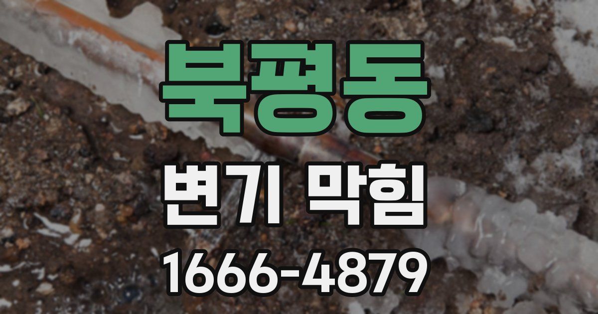 북평동 변기 막힘