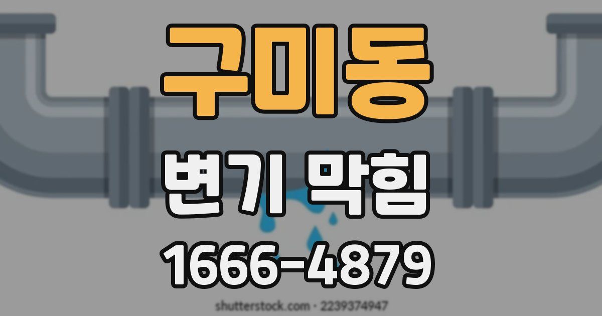 구미동 변기 막힘
