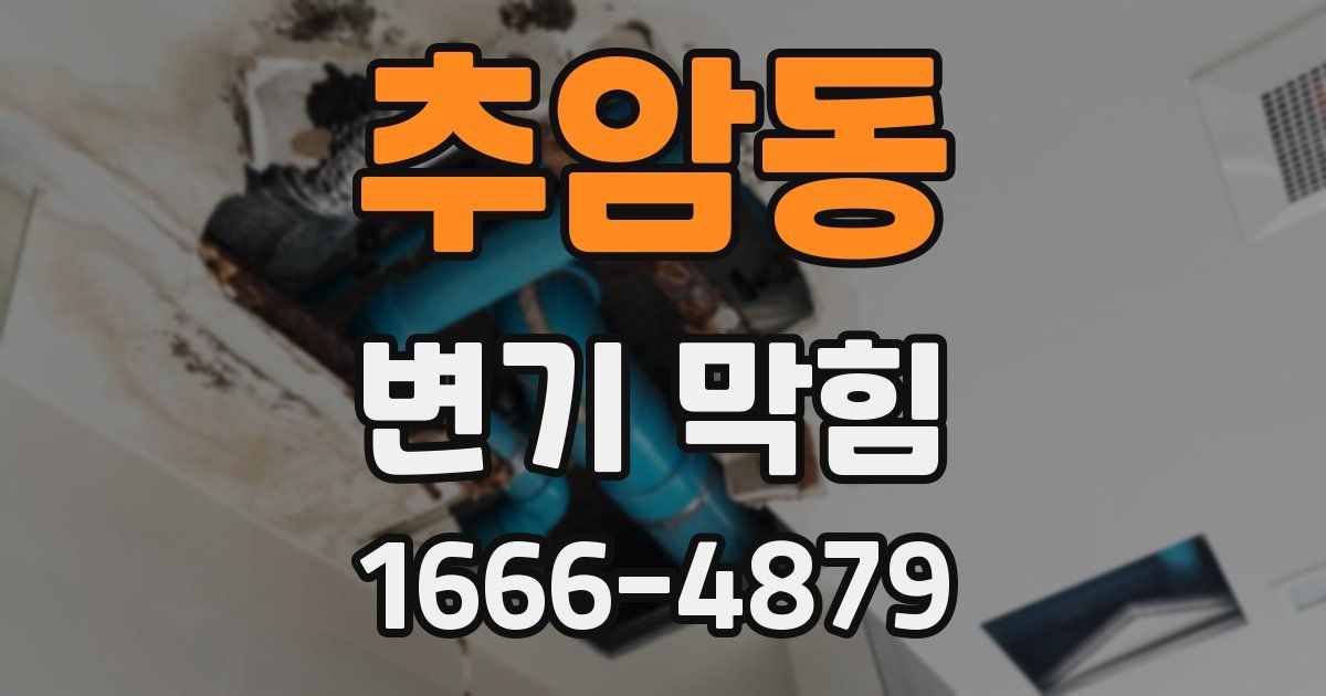추암동 변기 막힘