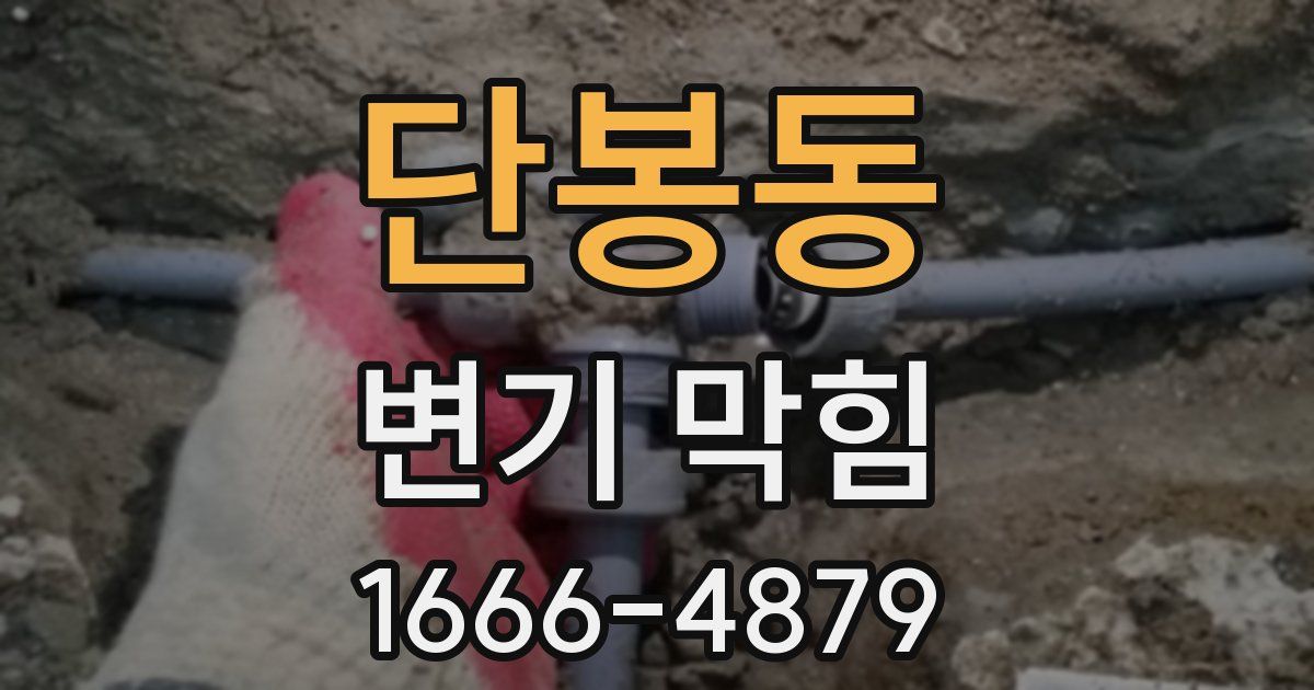 단봉동 변기 막힘