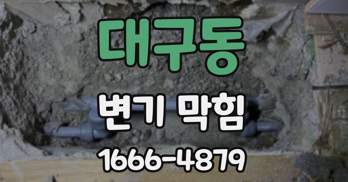 대구동 변기 막힘