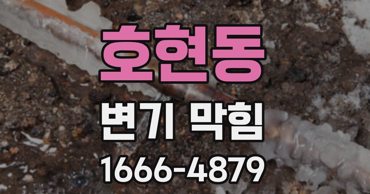 호현동 변기 막힘