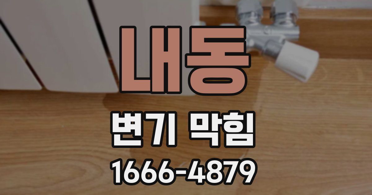 내동 변기 막힘