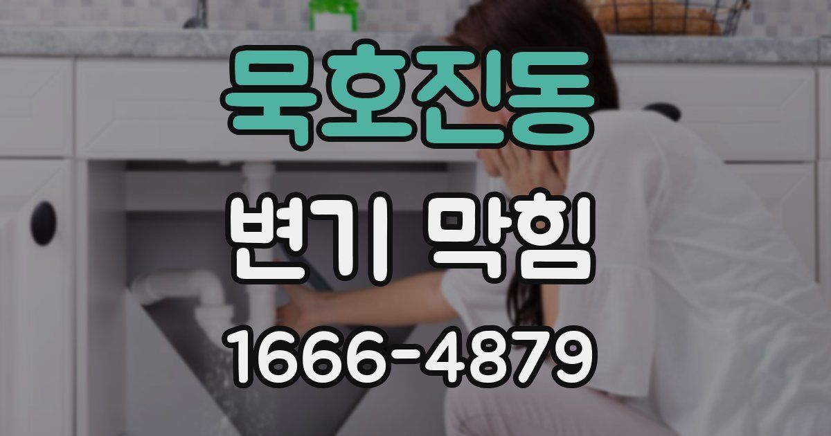 묵호진동 변기 막힘