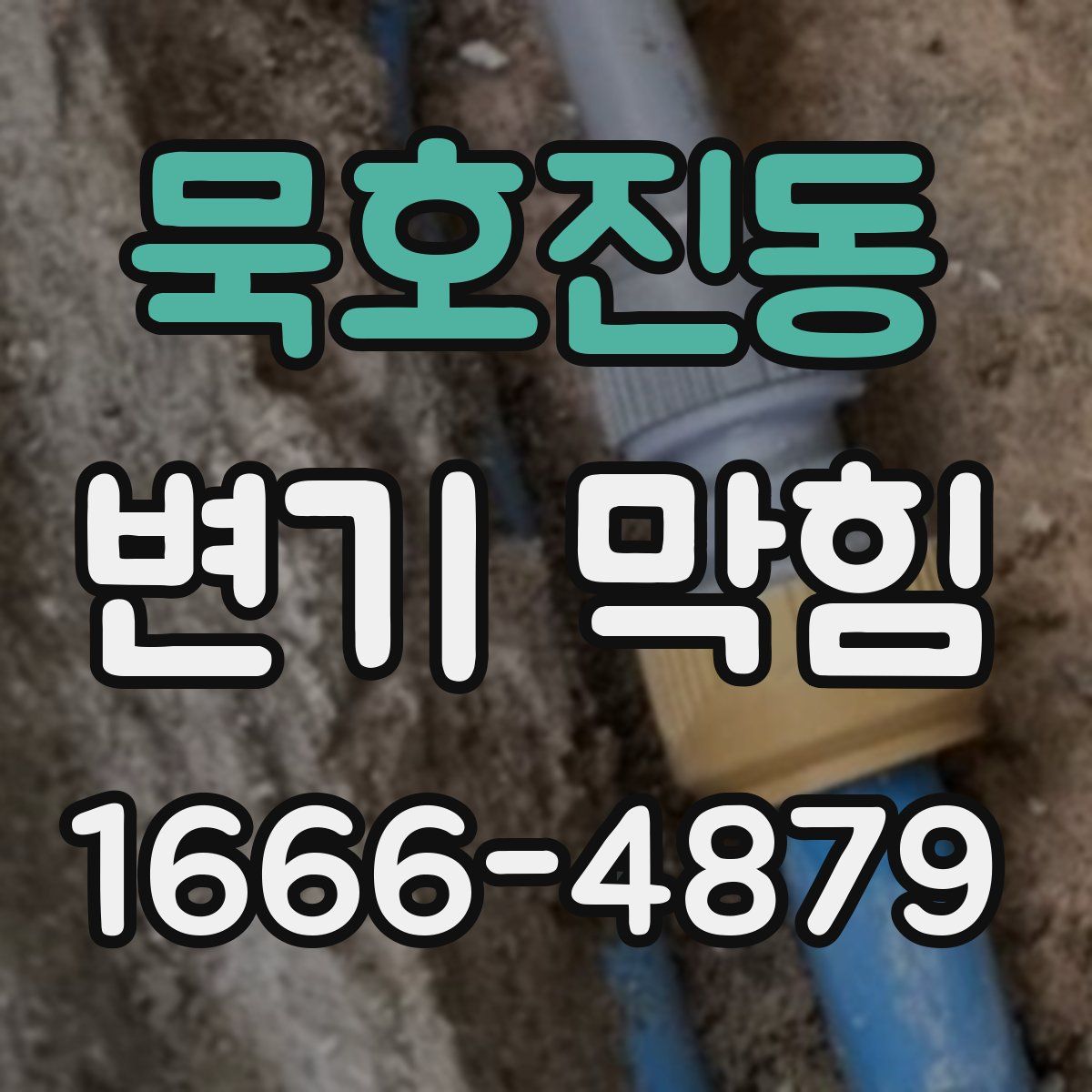 묵호진동 변기 막힘