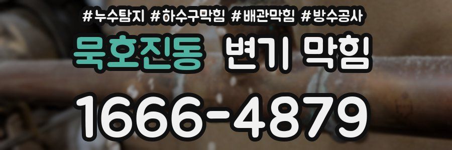 묵호진동 변기 막힘